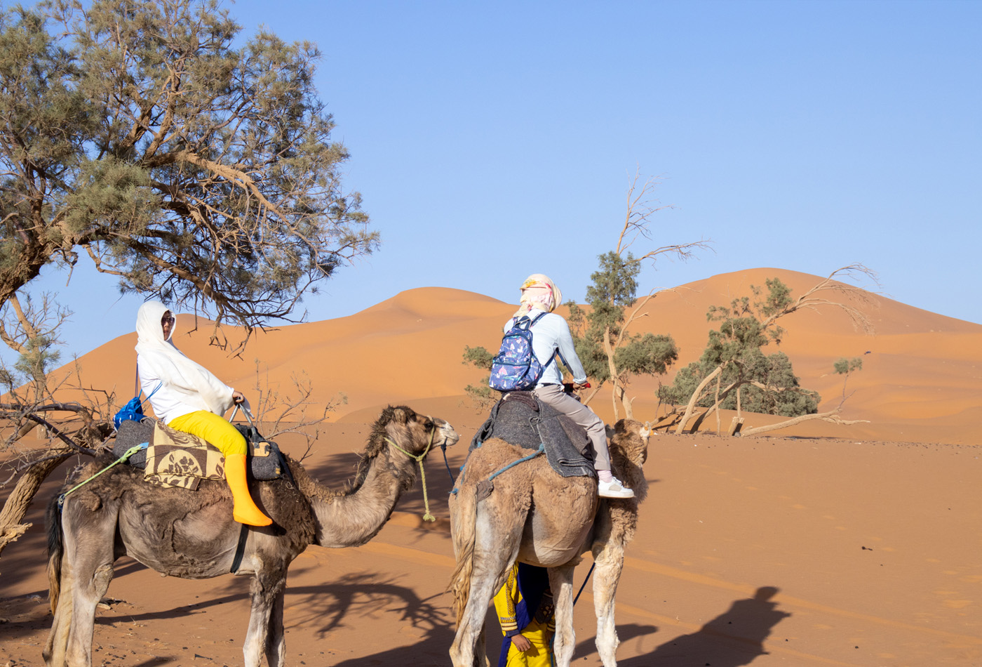 Camel Trekking